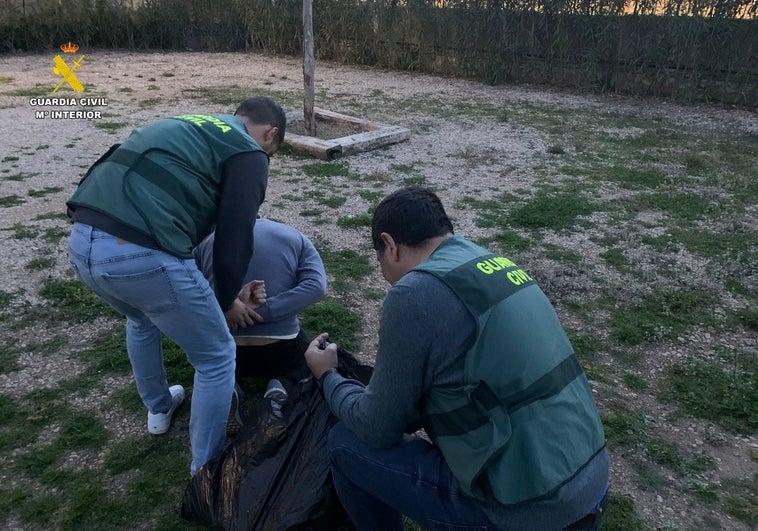 Descubierto con 350 plantas de marihuana en casa al provocar un corte de luz en el edificio