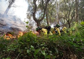 Medio centenar de bomberos continúa intentando controlar el incendio de Tarifa