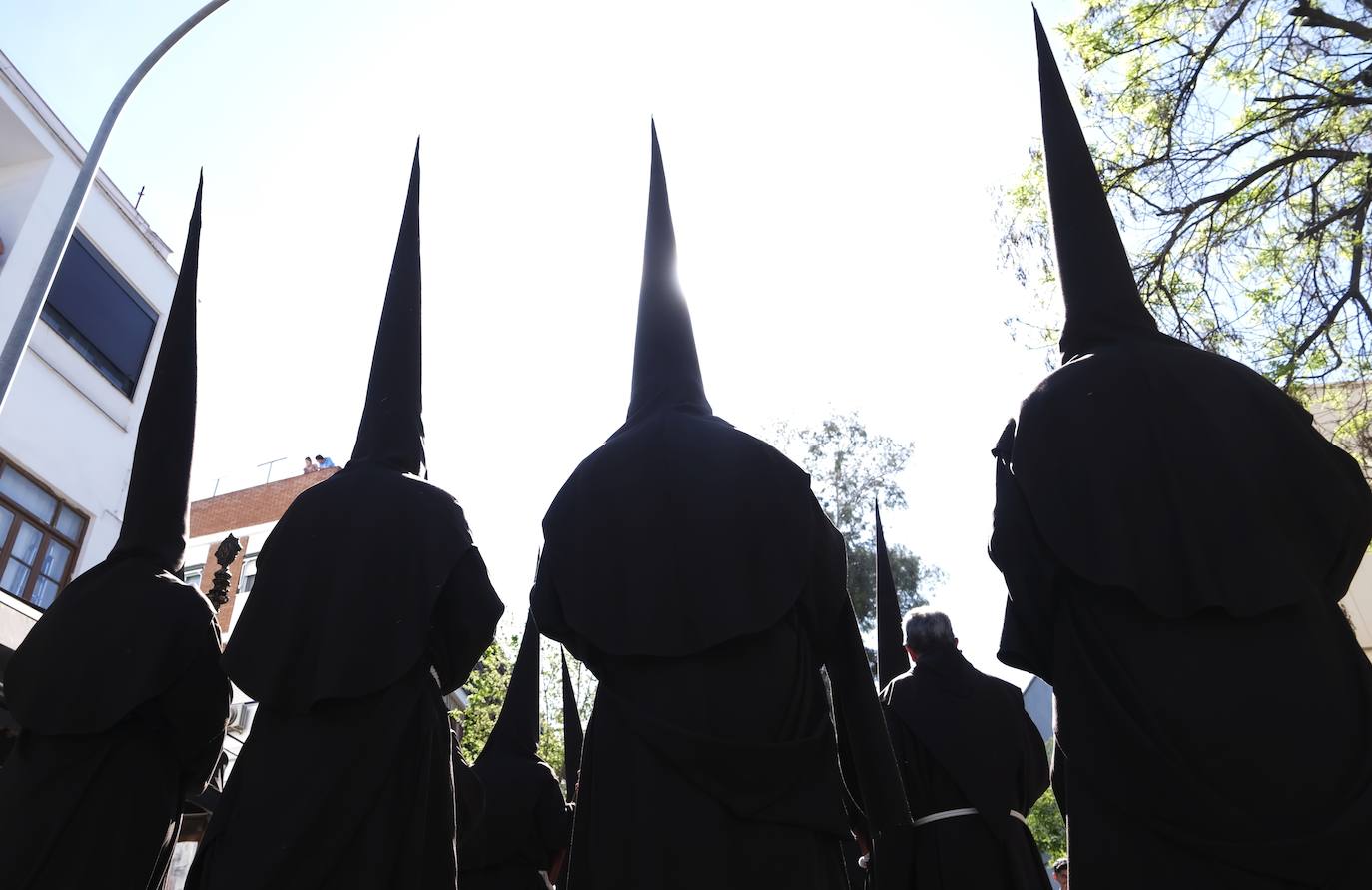 La dulzura de la Soledad, en imágenes