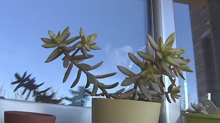 Los supervivientes de cáncer reclaman su derecho al olvido oncológico