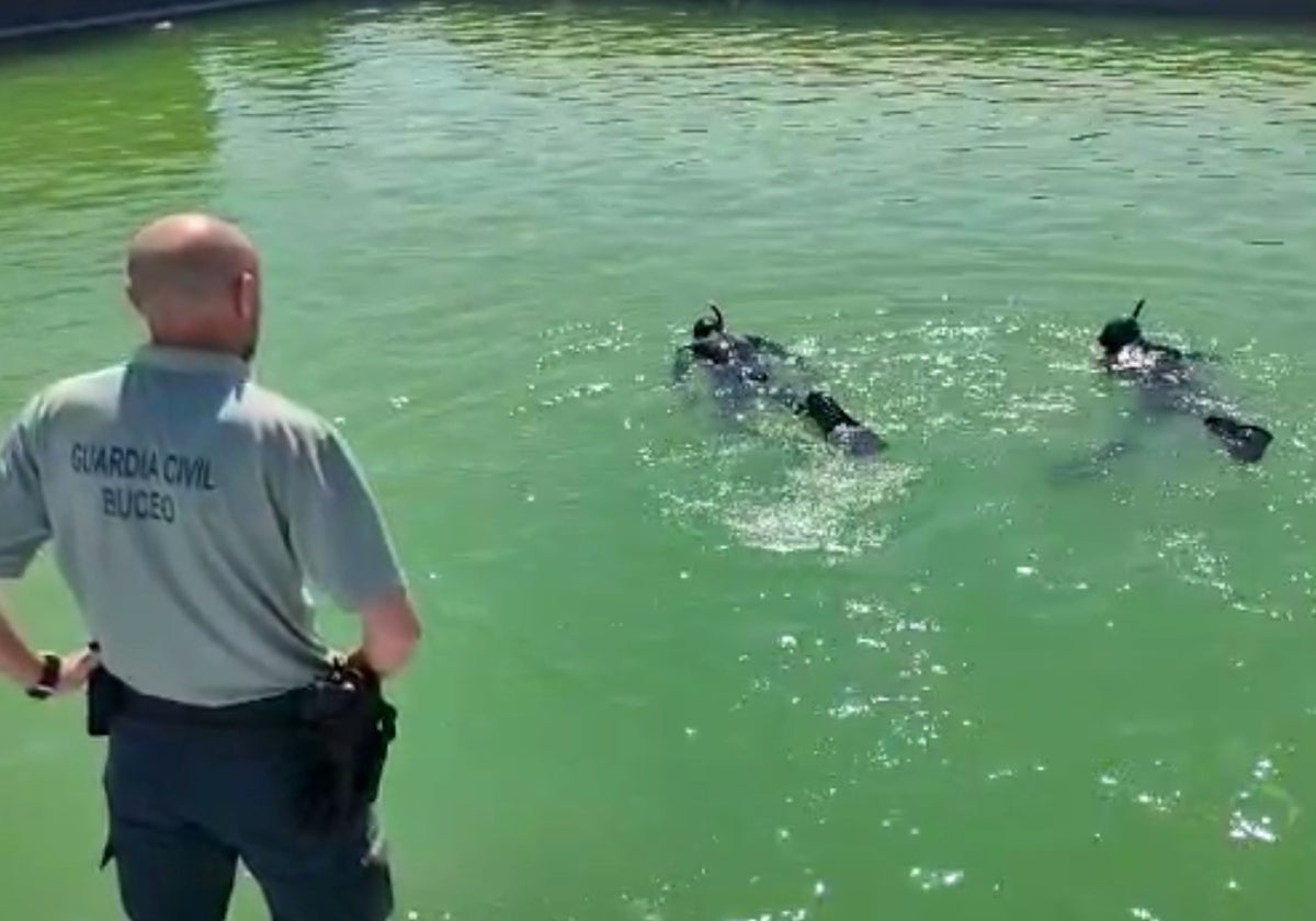 Buzos de la Guardia Civil durante el rastreo de una balsa agrícola en El Ejido.