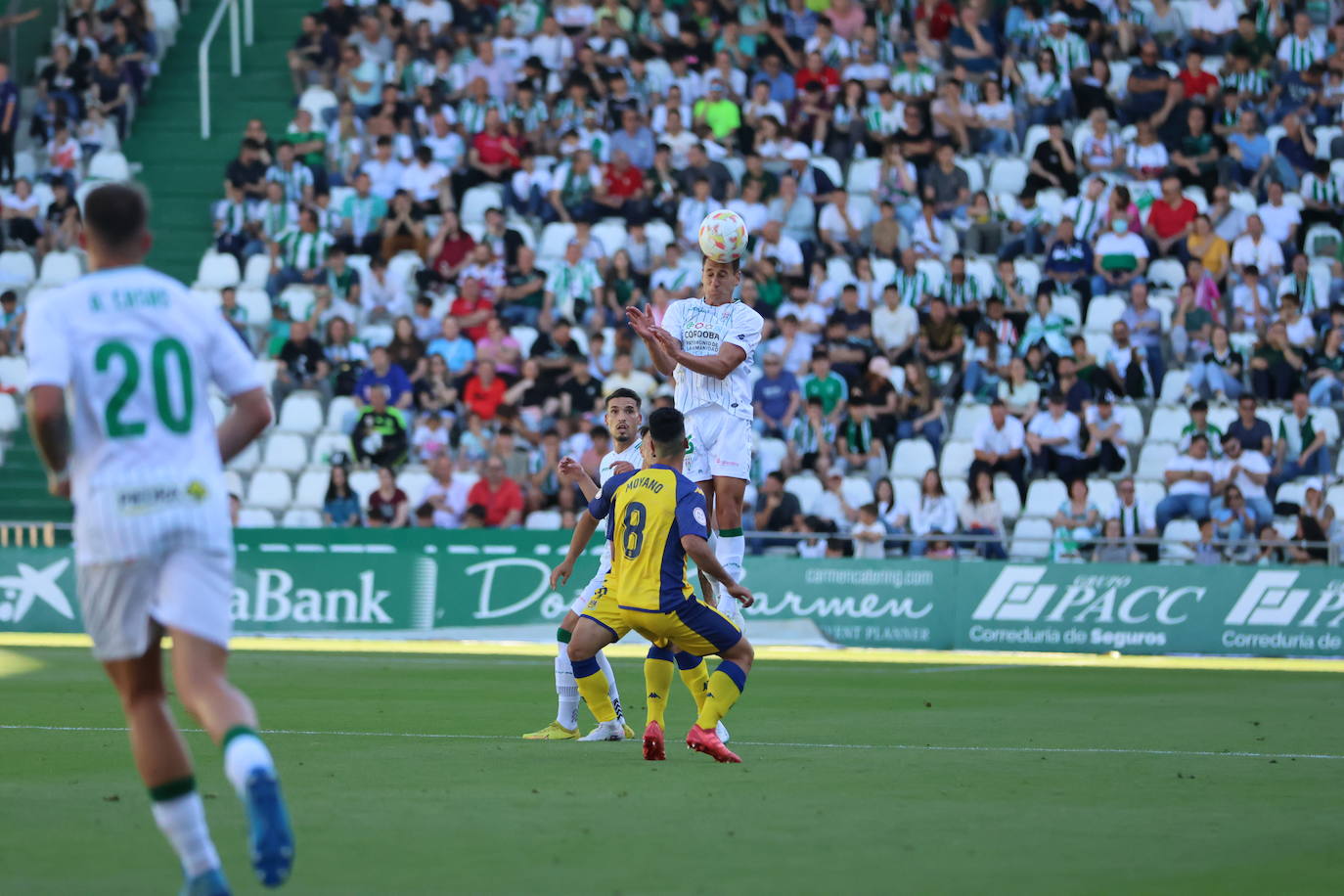 El emocionante Córdoba CF-Alcorcón, en imágenes