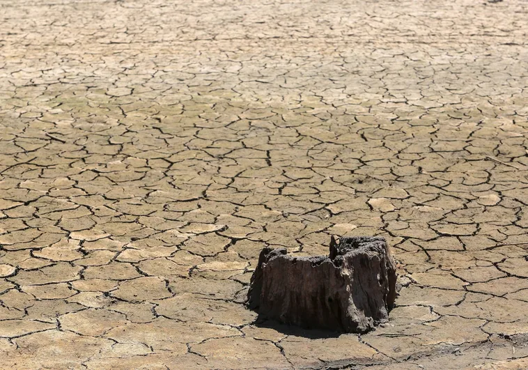 Se agudiza la sequía en Castilla y León: sin lluvias hasta el sábado, en el que se prevén chubascos «débiles»