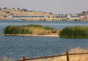 Agua no potable de La Colada | El riesgo para el consumo humano es solo acumulativo