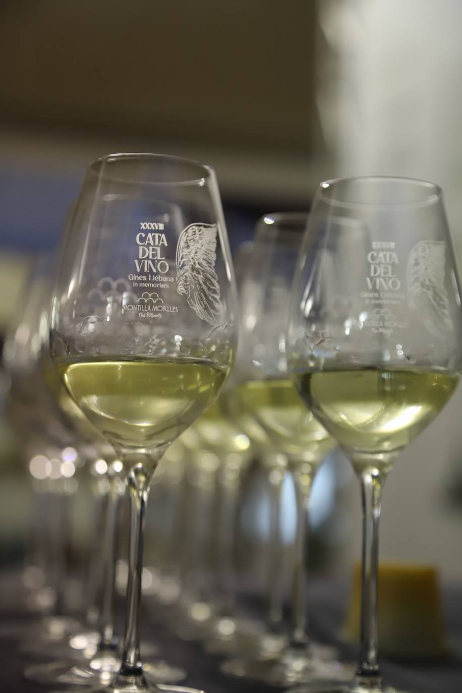 La inauguración de la Cata de Vino de Córdoba 2023, en imágenes