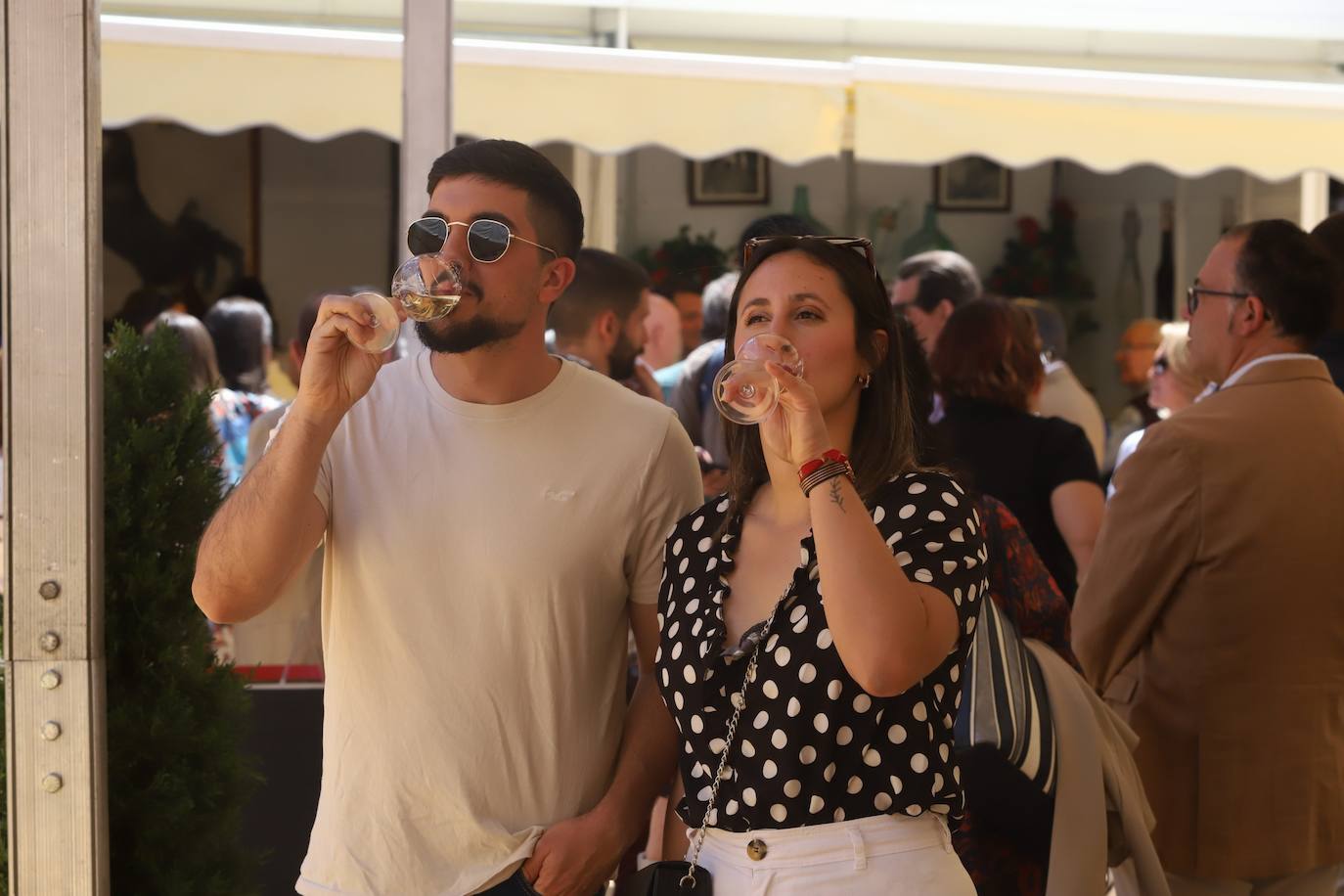 El radiante arranque de la Cata del Vino de Córdoba, en imágenes