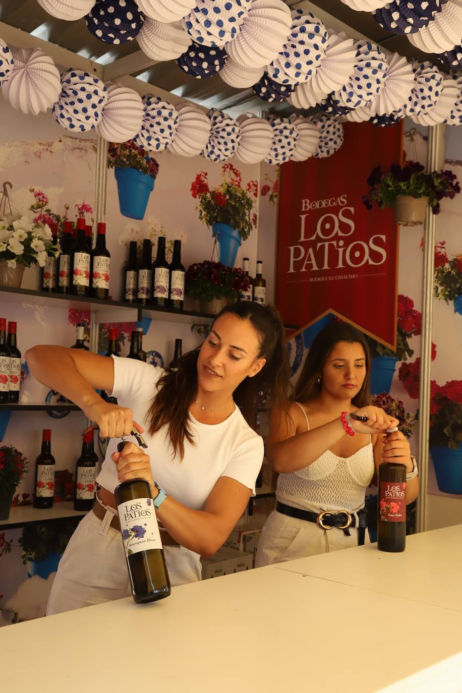 El radiante arranque de la Cata del Vino de Córdoba, en imágenes