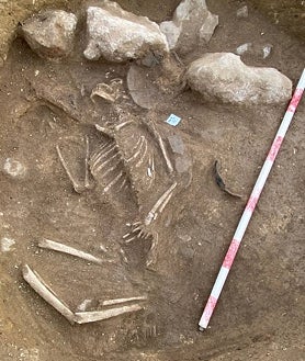 Imagen secundaria 2 - Vista general de un yacimiento prehistórico, junto a un jarro tardorromano y restos óseos de un individuo de la época prehistórica