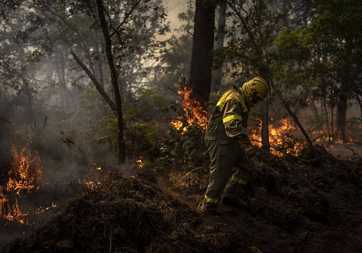 Uno de los incendios que castigaron Galicia el pesado verano, en O Irixo (Orense)