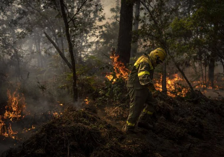 La nueva ley gallega de lucha contra los incendios habilitará ampliar las fajas de seguridad