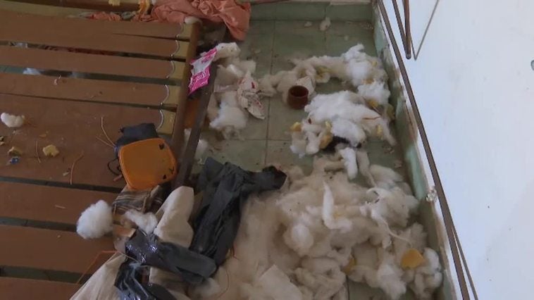 Ganan una subasta para alquilar un piso municipal y tras no pagar el alquiler, lo destrozan