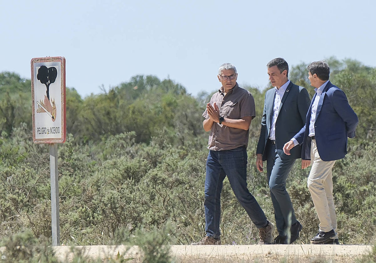 Pedro Sánchez, ayer en Doñana con el directror de la Estación Biológfica y el delegado del Gobierno en Andalucía