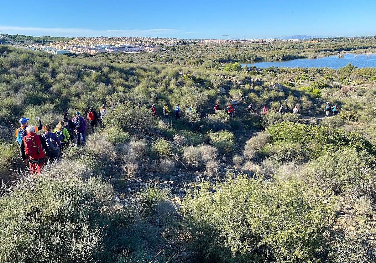 La Diputación de Alicante destina 600.000 euros al control de la salubridad pública y el bienestar animal