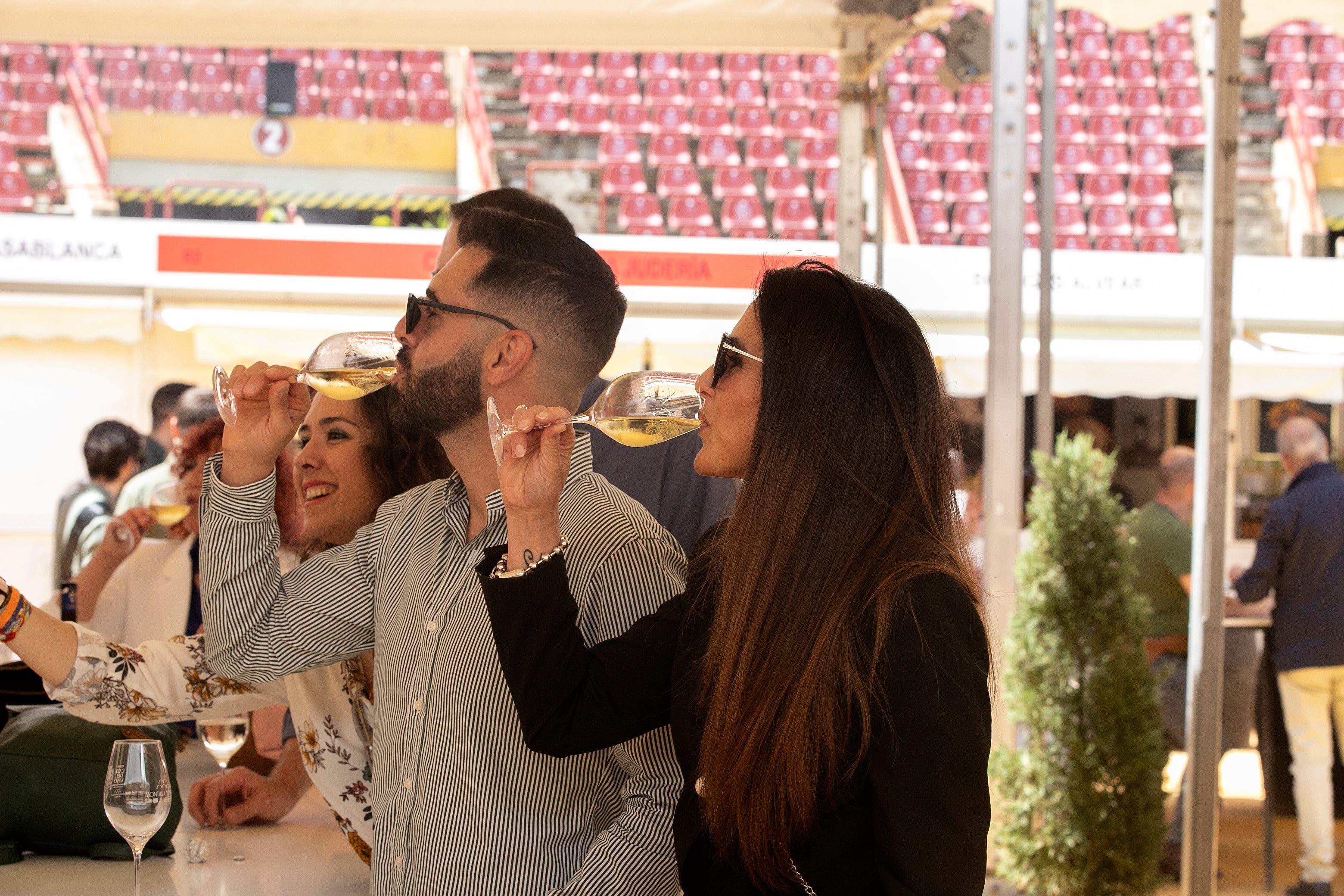 El lleno de la Cata del Vino de Córdoba este sábado, en imágenes