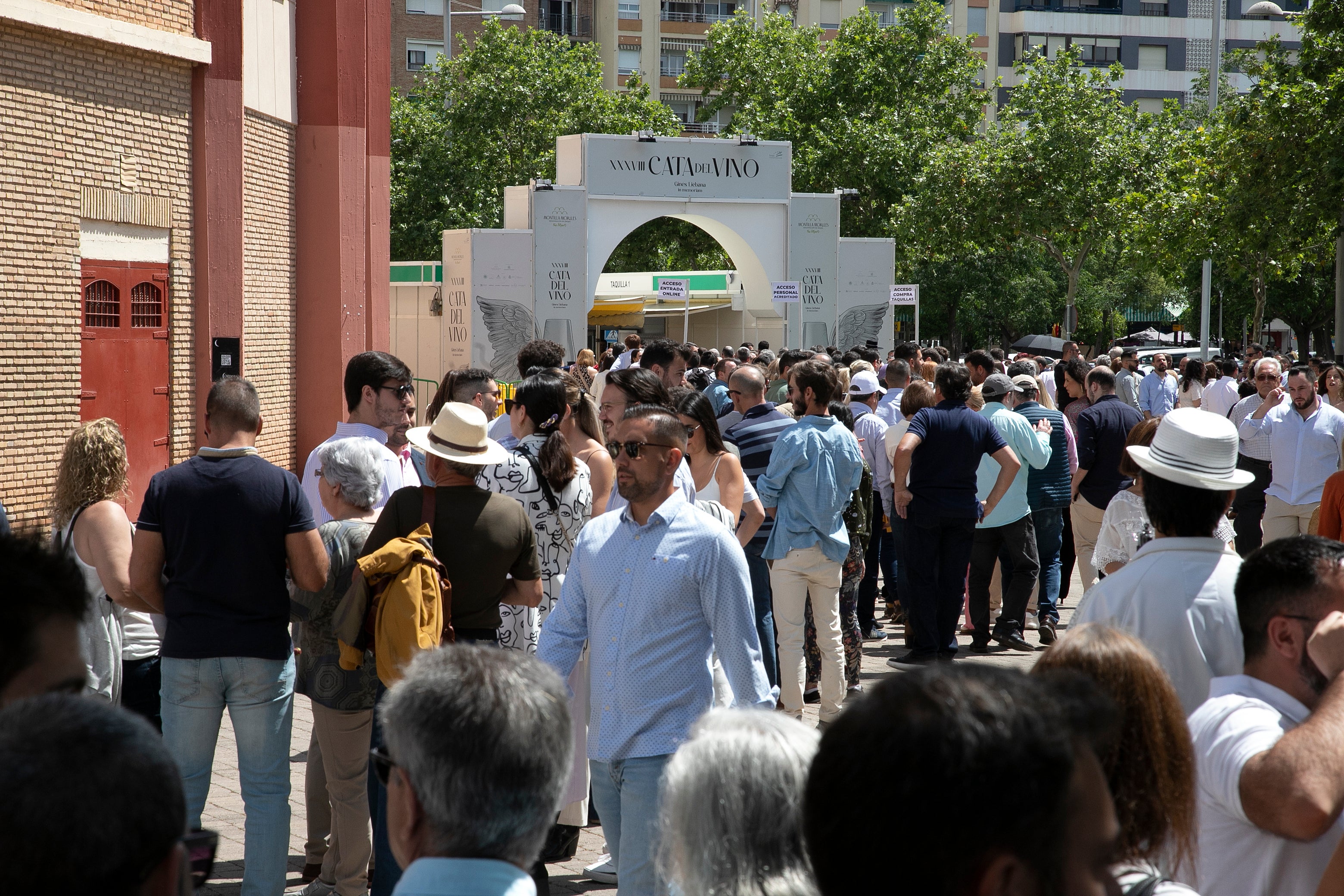 El lleno de la Cata del Vino de Córdoba este sábado, en imágenes