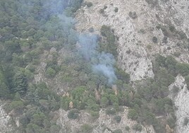 El Infoca lucha por apagar dos incendios en Málaga