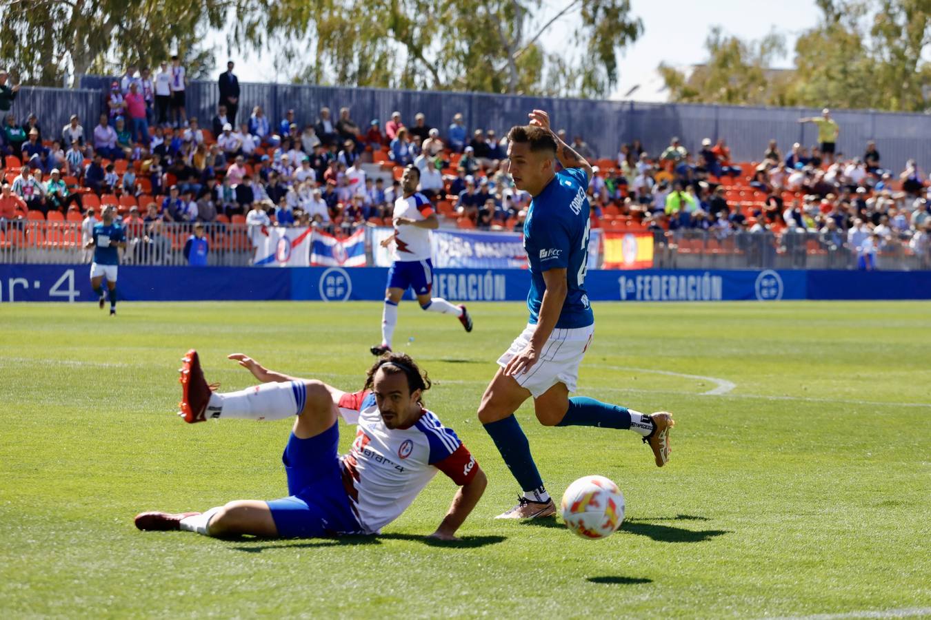 La derrota del Córdoba CF ante el Rayo Majadahonda, en imágenes