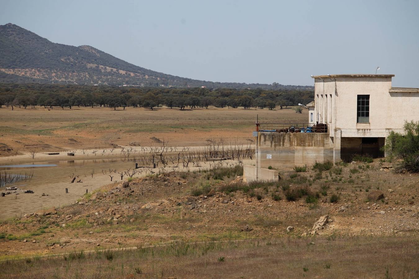 El impactante paisaje de sequía en los pantanos de Córdoba, en imágenes