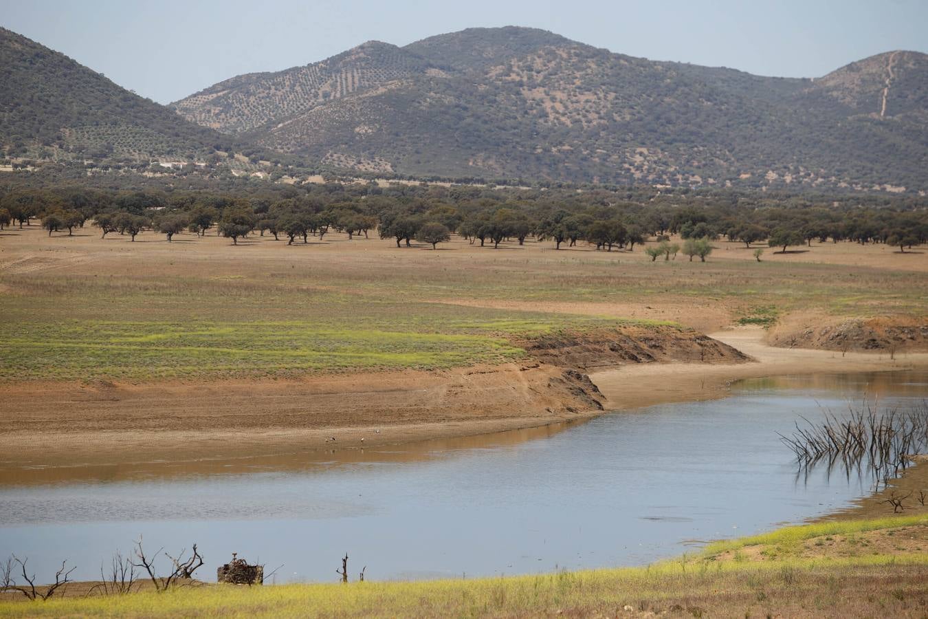 El impactante paisaje de sequía en los pantanos de Córdoba, en imágenes
