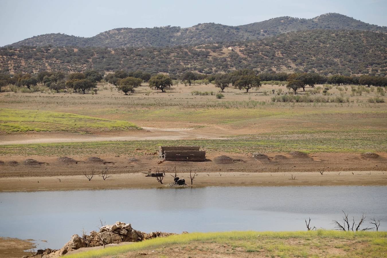 El impactante paisaje de sequía en los pantanos de Córdoba, en imágenes
