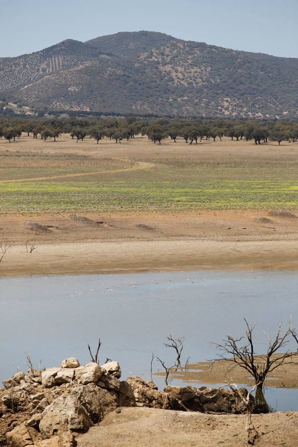 El impactante paisaje de sequía en los pantanos de Córdoba, en imágenes