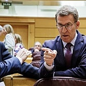 Sánchez y Feijóo se ven las caras en el Senado a un mes del 28M