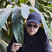 «Ni la izquierda ni la derecha llegaron nunca a fiarse de la Movida madrileña»