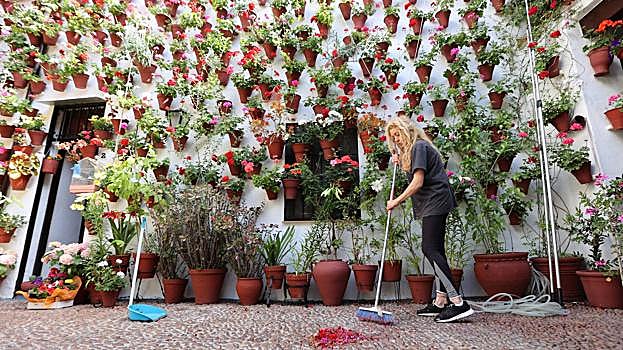 Cómo visitar los Patios de Córdoba 2023: fechas, horarios, rutas y participantes