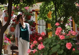 Patios de Córdoba 2023 | ¿Cuáles son los patios más singulares?