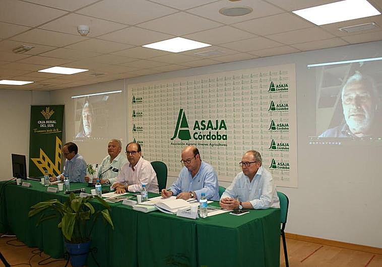 Asaja Córdoba alerta de la situación «crítica» del campo por la sequía ...