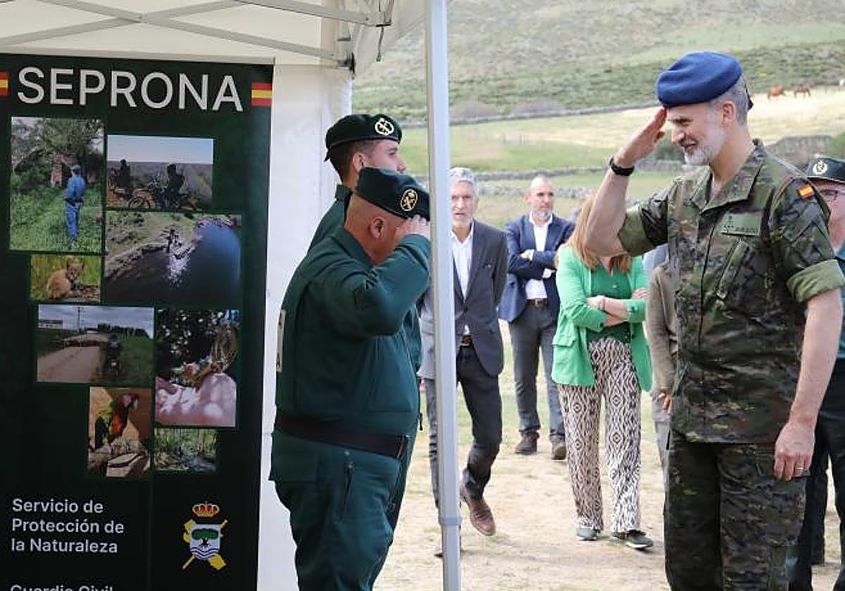 El Rey Felipe VI, este jueves durante su visita al Seprona de la Guardia Civil en Ávila