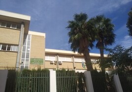 Seis niños menores de 14 años agreden en la calle a una profesora de un instituto de Almería