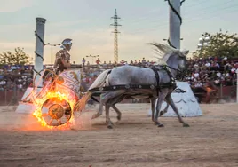 El Gran Circo Romano conquista Alcalá de Henares