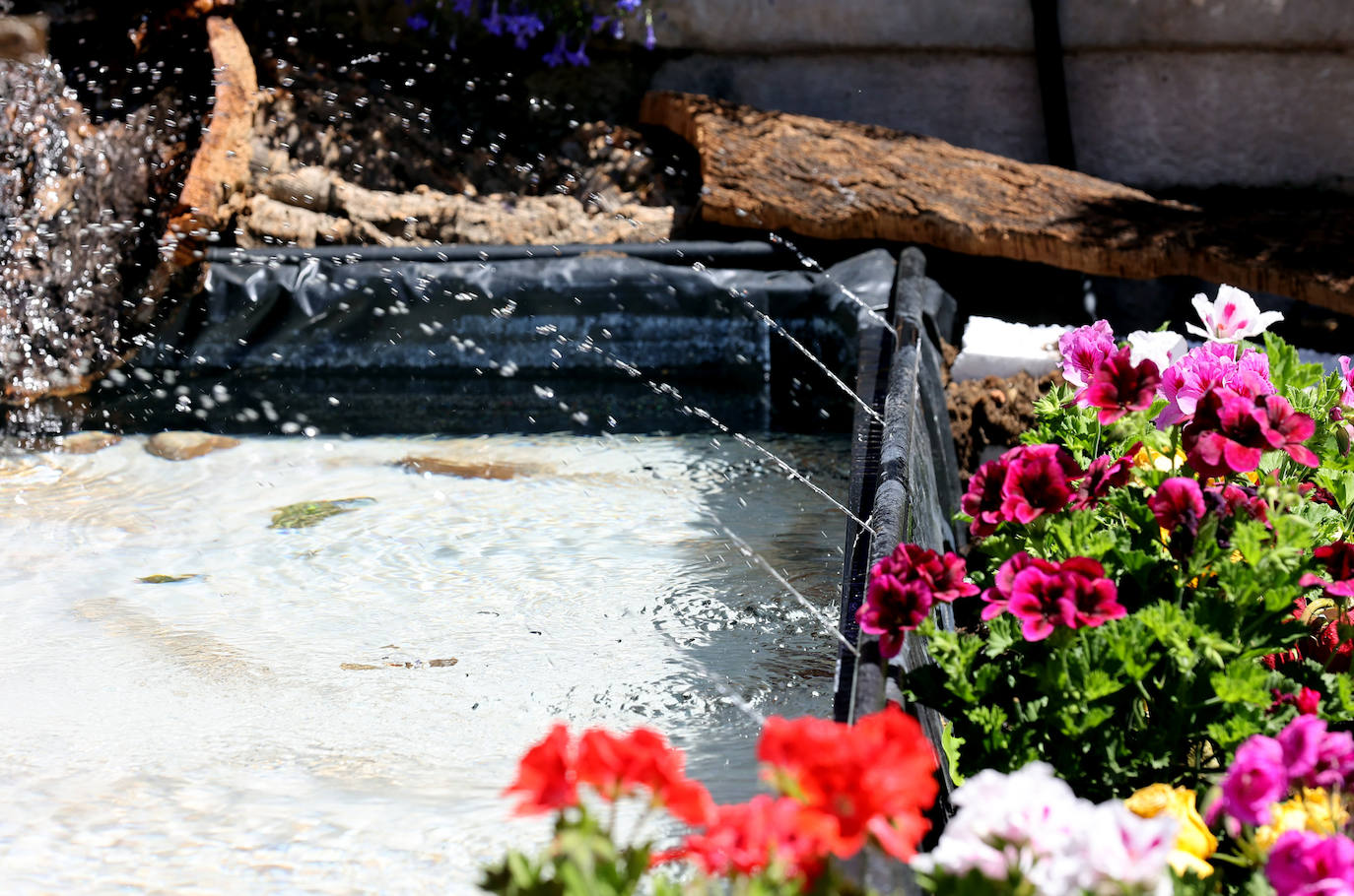 Las Cruces de Mayo premiadas en Córdoba, en imágenes