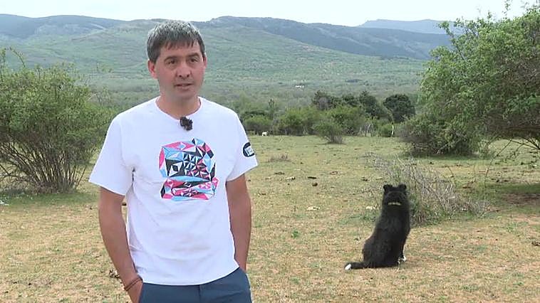 Los sindicatos agrarios reclaman al Gobierno que intervenga en la cadena alimentaria para equilibrar precios y beneficios