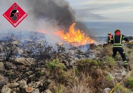Controlado el incendio que ha calcinado parte de uno de los enclaves más vistosos del Mediterráneo en Alicante