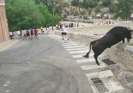 Sacrifican a un toro tras una caída desde gran altura en unos festejos en Valencia