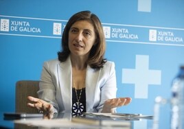 Ángeles Vázquez: «De las 1.280 viviendas de la Sareb, solo 5 tienen licencia de ocupación»