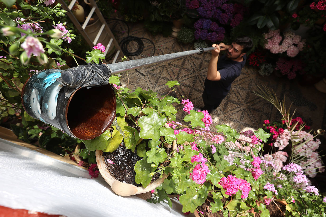 Los preparativos de los Patios de Córdoba 2023, en imágenes