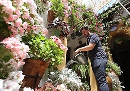 Patios Córdoba 2023 | Florece el embeleso de mayo