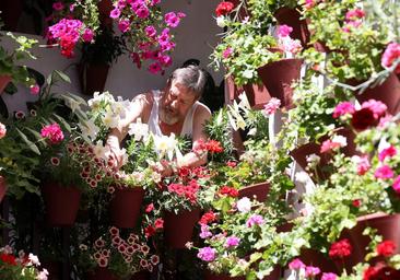 Patios de Córdoba 2023 | Guía completa para no perderte con las rutas y el plano de los recintos