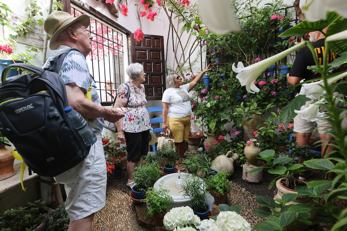 Patios Córdoba 2023 | La belleza antigua de la ruta de Santa Marina y San Agustín, en imágenes