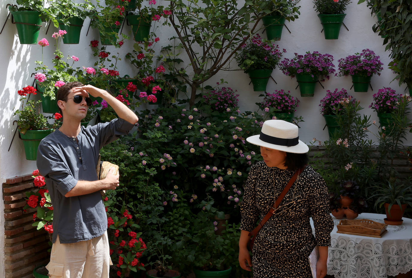 Patios Córdoba 2023 | La belleza antigua de la ruta de Santa Marina y San Agustín, en imágenes