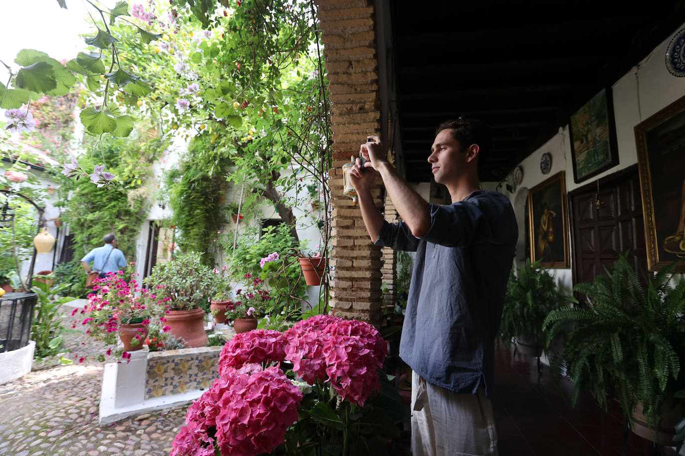 Patios Córdoba 2023 | La belleza antigua de la ruta de Santa Marina y San Agustín, en imágenes