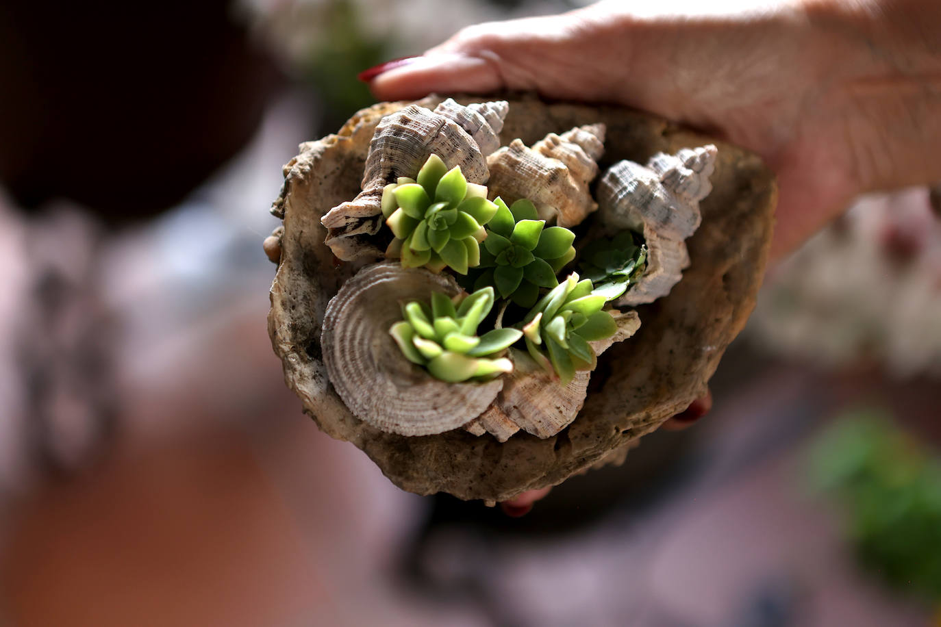 Patios Córdoba 2023 | La belleza antigua de la ruta de Santa Marina y San Agustín, en imágenes