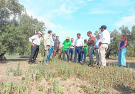 Agricultores, cazadores y vecinos unen fuerzas para proteger la biodiversidad en Aguilar de la Frontera