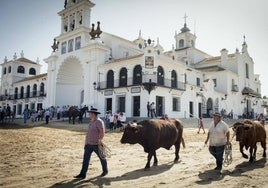 Plan Romero 2023: cuándo se activa y cuáles son las novedades para la Romería del Rocío