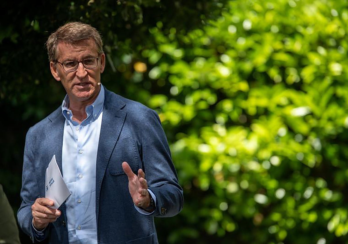 Alberto Núñez Feijóo, presidente del Partido Popular