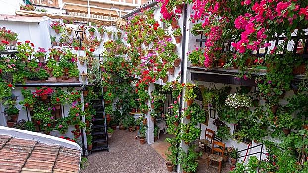 Ranking con los mejores patios de Córdoba