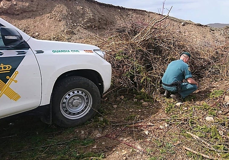 Agente del Seprona de la Guardia Civil en el lugar en el que encontraron enterrado al animal